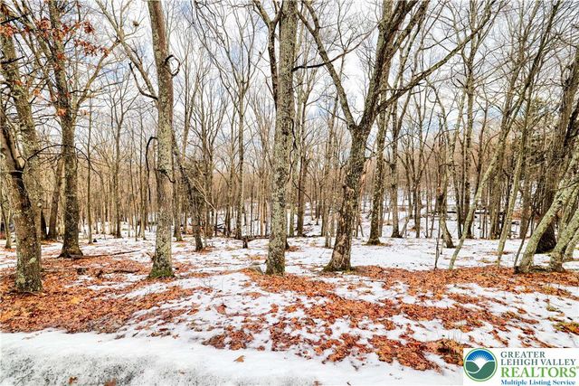 Warbler Court, Lehman Twp, PA 18324