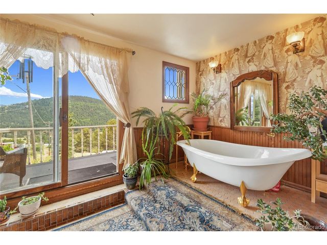 410 Lee Ave, Victor, CO 80860