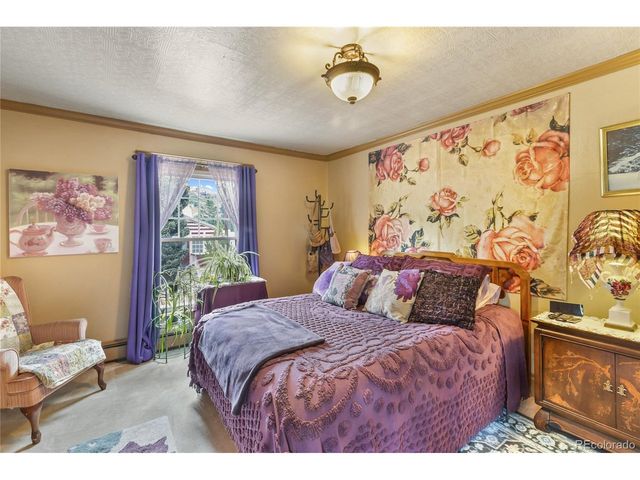 410 Lee Ave, Victor, CO 80860