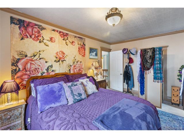 410 Lee Ave, Victor, CO 80860