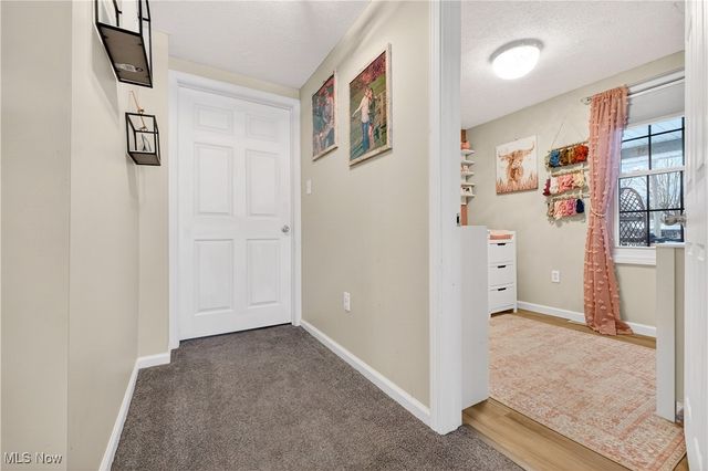 386 Park Road, Painesville Twp, OH 44077