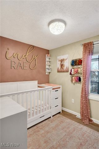 386 Park Road, Painesville Twp, OH 44077