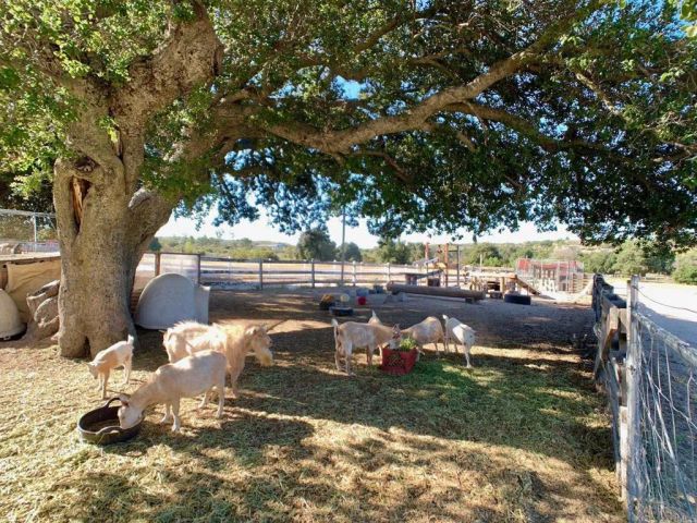 38058 Highway 94, Boulevard, CA 91905