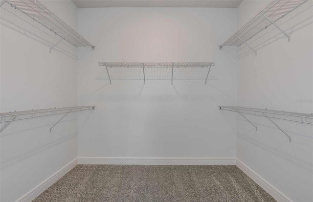 11131 SYCAMORE GLEN LOOP, Thonotosassa, FL 33592