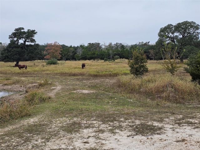 0 Schultz, Columbus, TX 78934