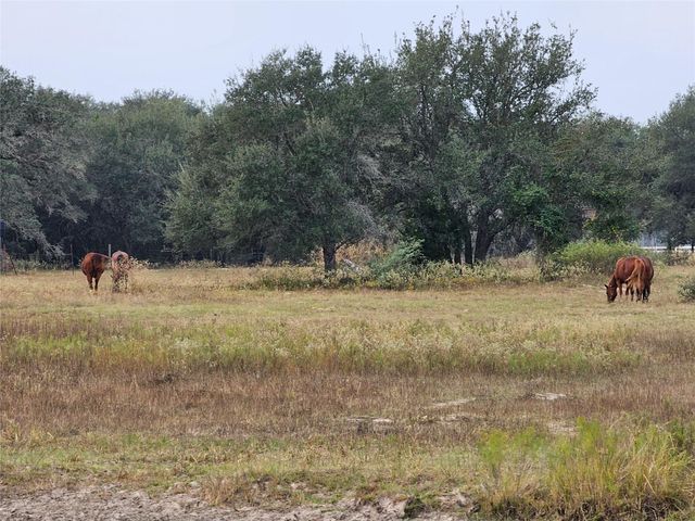 0 Schultz, Columbus, TX 78934