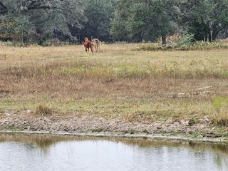 0 Schultz, Columbus, TX 78934