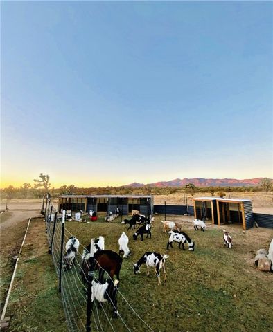 21038 S Cheyenne Road, Yucca, AZ 86438