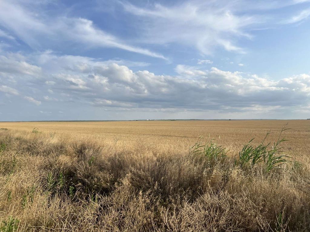 0 FM 1812, Merkel, TX 79536