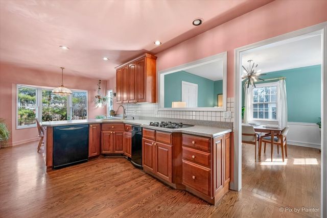 507 S Hi Lusi Avenue, Mount Prospect, IL 60056