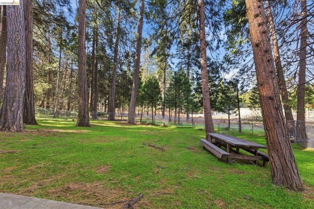 19376 Poplar Cir, Twain Harte, CA 95383