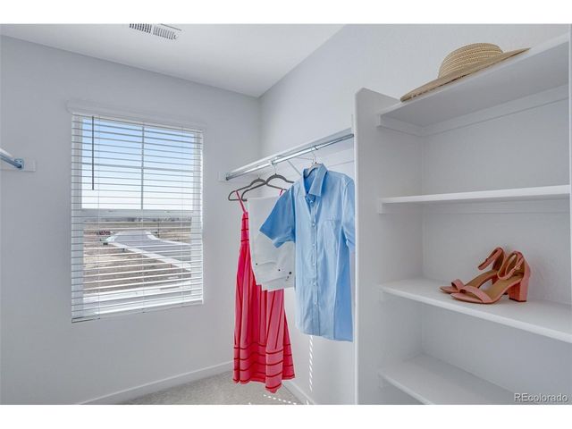 1993 Sorghum Way, Johnstown, CO 80534