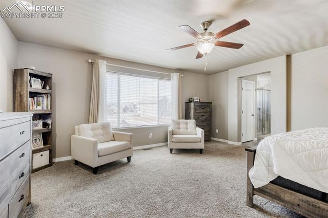 10296 Hidden Park Way, Peyton, CO 80831
