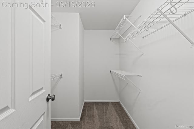 17103 Caitlin Circle, Commerce Charter Township, MI 48390