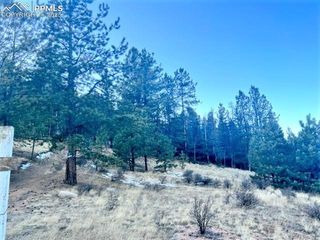 233 Rabbil Creek Drive, Florissant, CO 80816