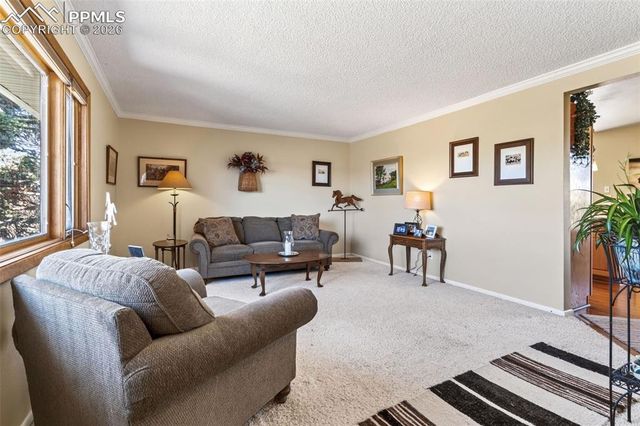 12360 Mesa View Road, Larkspur, CO 80118