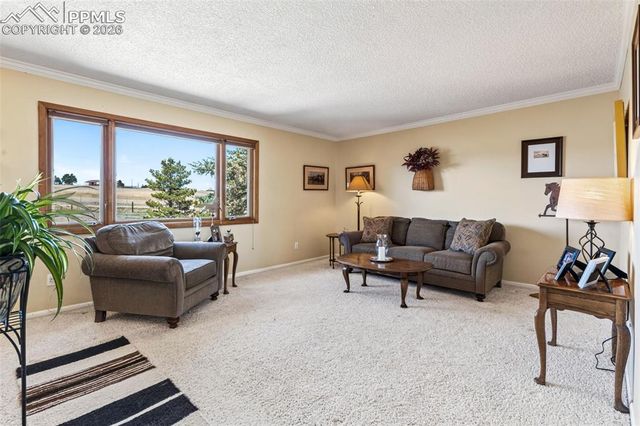 12360 Mesa View Road, Larkspur, CO 80118