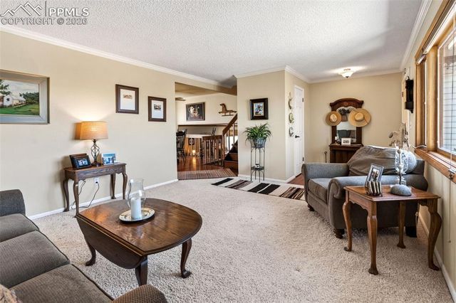 12360 Mesa View Road, Larkspur, CO 80118