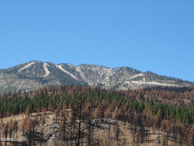0 Joy Lake Road, Washoe Valley, NV 89704