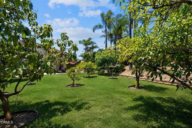 577 Corte Aguacate, Camarillo, CA 93010