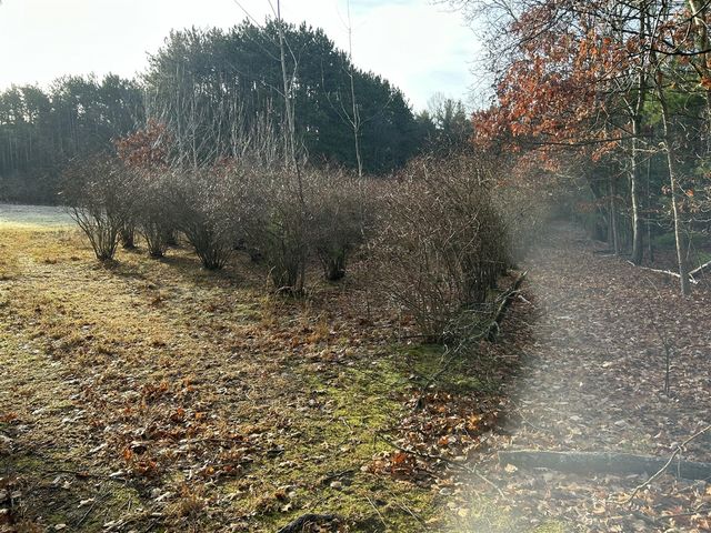 18651 W Spring Lake Road, Spring Lake, MI 49456