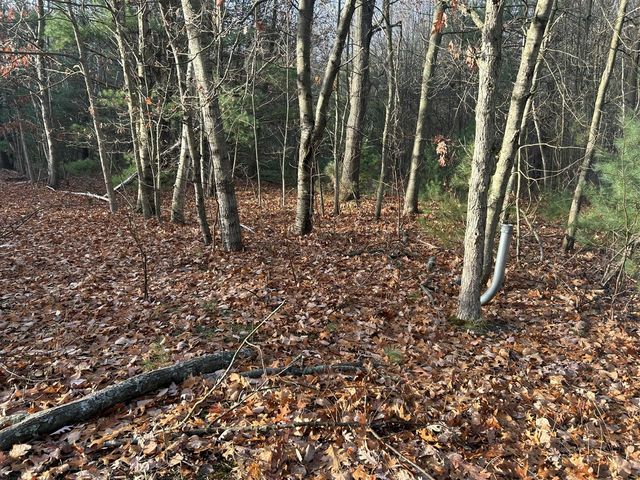 18651 W Spring Lake Road, Spring Lake, MI 49456