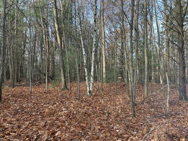 18651 W Spring Lake Road, Spring Lake, MI 49456