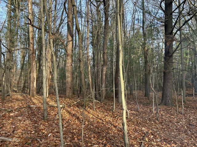 18651 W Spring Lake Road, Spring Lake, MI 49456