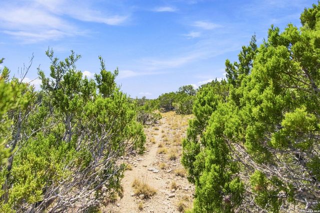0 Majestic Hills, Blanco, TX 78606