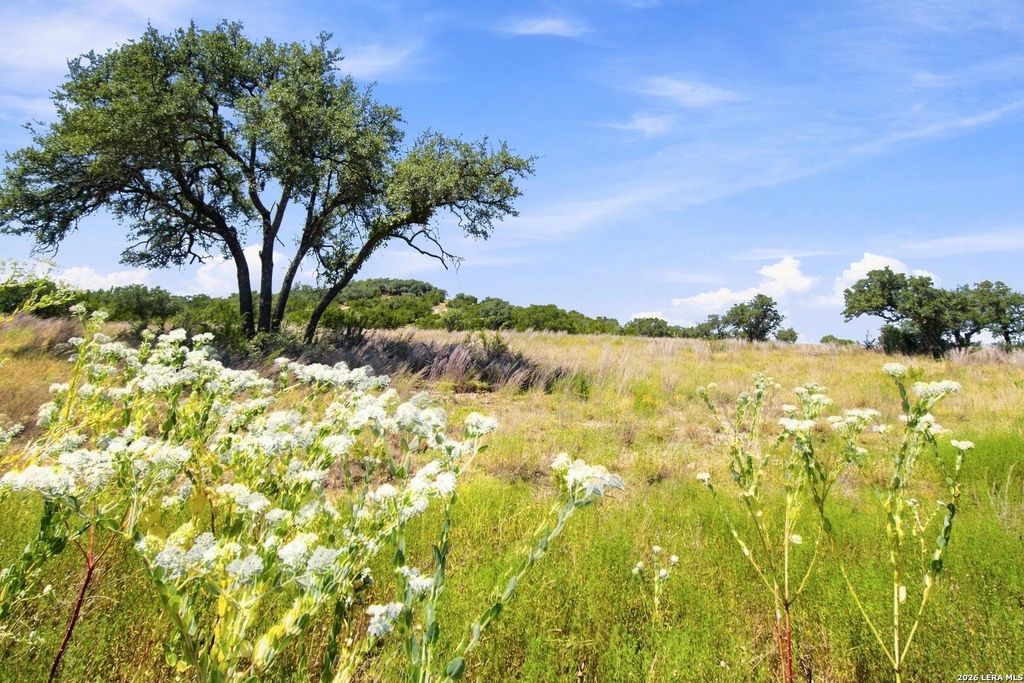 0 Majestic Hills, Blanco, TX 78606