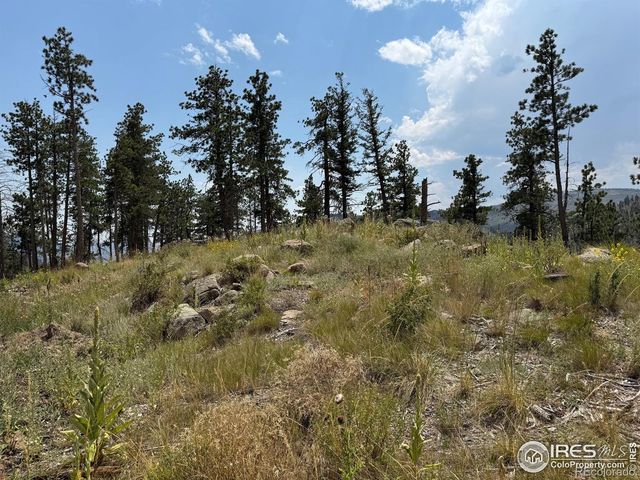 865 Redstone Drive, Bellvue, CO 80512