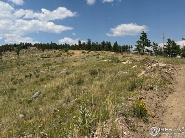 865 Redstone Drive, Bellvue, CO 80512
