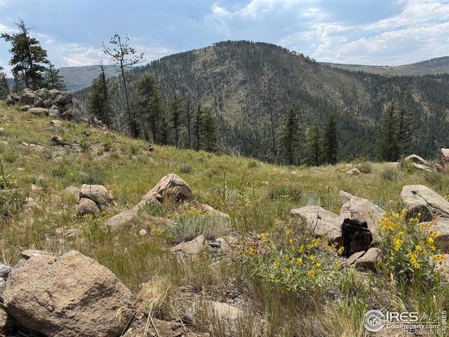 865 Redstone Drive, Bellvue, CO 80512