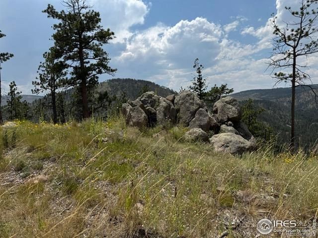 865 Redstone Drive, Bellvue, CO 80512