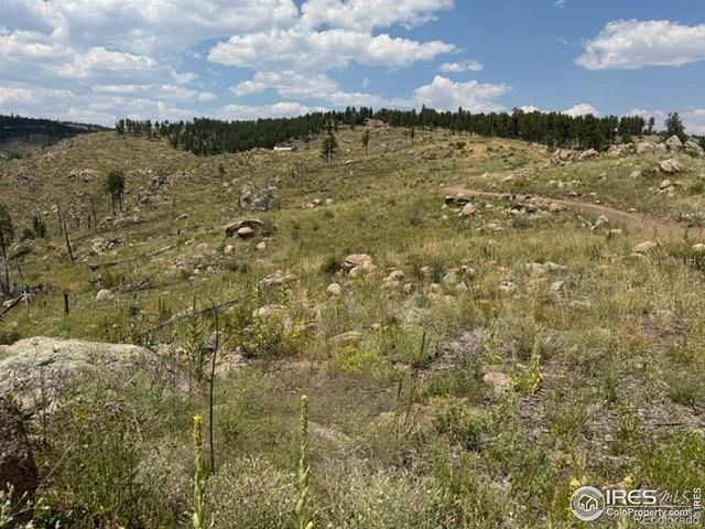 865 Redstone Drive, Bellvue, CO 80512