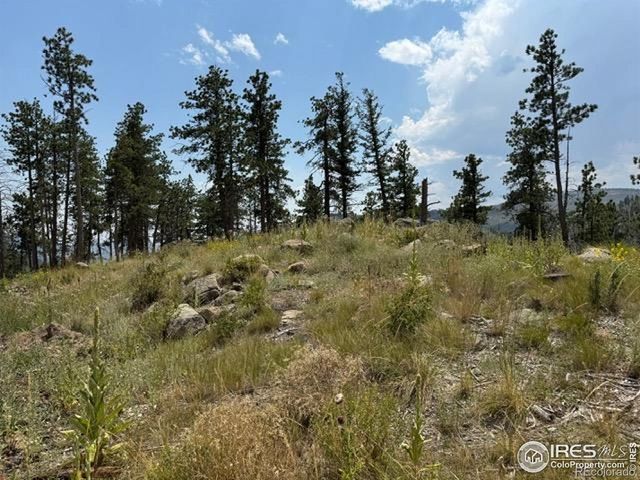 865 Redstone Drive, Bellvue, CO 80512