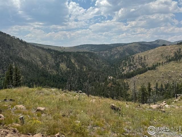 865 Redstone Drive, Bellvue, CO 80512