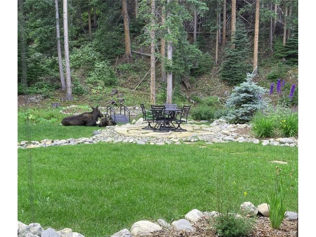 95 Victory Ln, Breckenridge, CO 80424