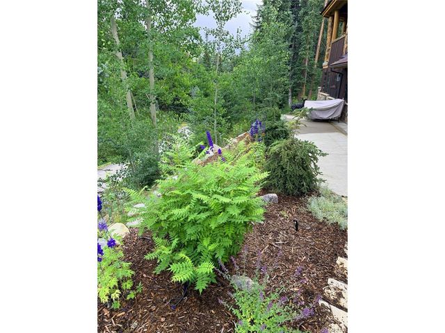 95 Victory Ln, Breckenridge, CO 80424