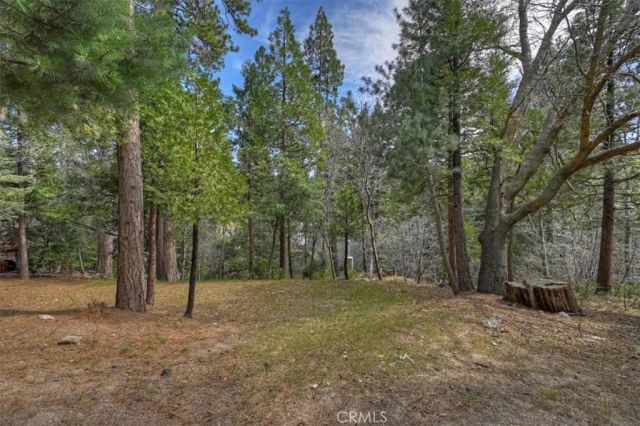 27297 Little Bear, Blue Jay, CA 92317