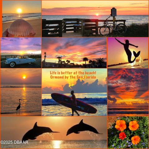 12 Sea Swallow Terrace, Ormond Beach, FL 32176