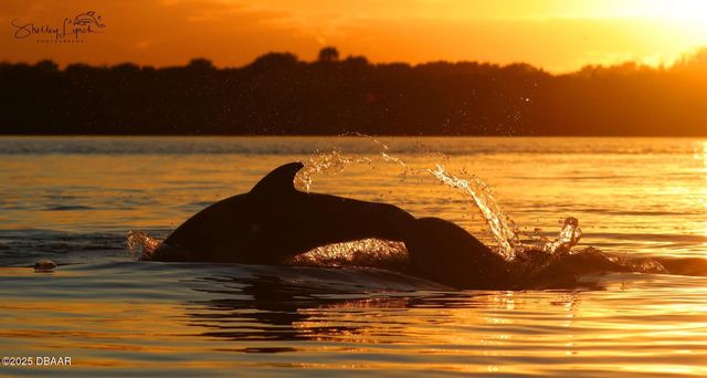 12 Sea Swallow Terrace, Ormond Beach, FL 32176