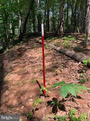 TRACT 7 BEAR GARDEN TRL, Capon Bridge, WV 26711