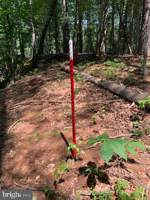 TRACT 7 BEAR GARDEN TRL, Capon Bridge, WV 26711