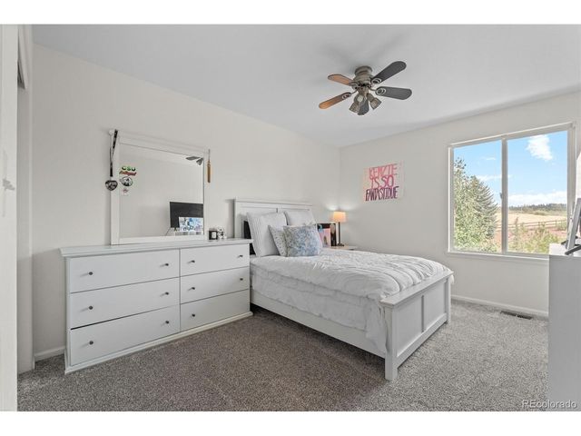 4160 Black Feather Trl, Castle Rock, CO 80104