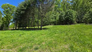 Dooley Hollow Rd, Ewing, VA 24248