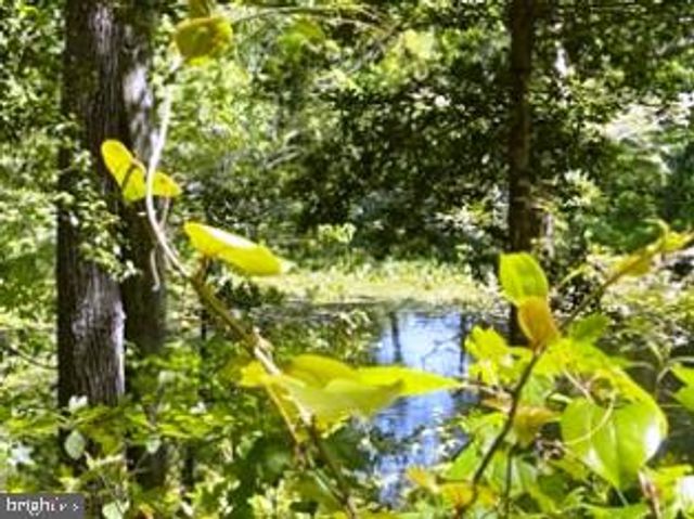 LOTS 26 AND 27 OLDE MILL LANE, New Church, VA 23415