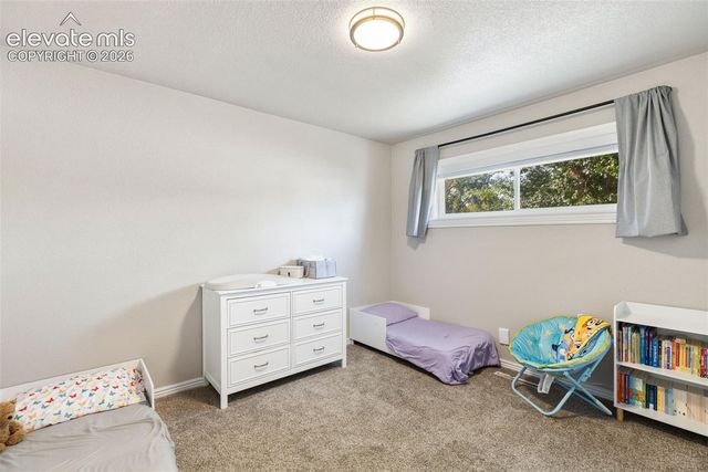 113 Everett Drive, Colorado Springs, CO 80911