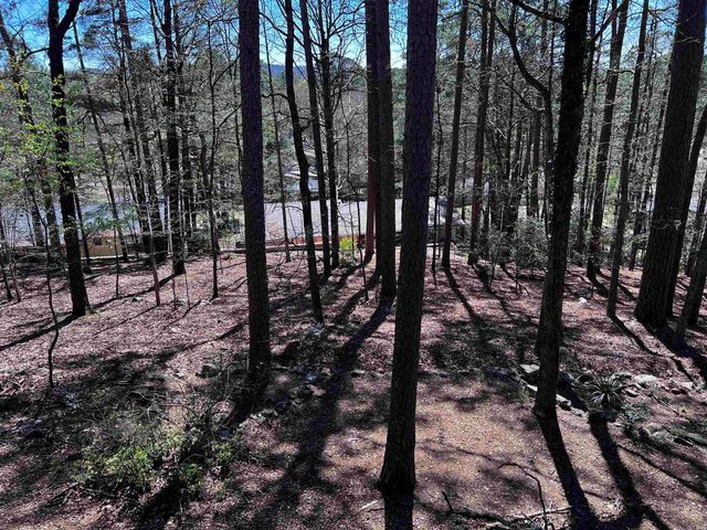 7 Telde Circle, Hot Springs Village, AR 71909