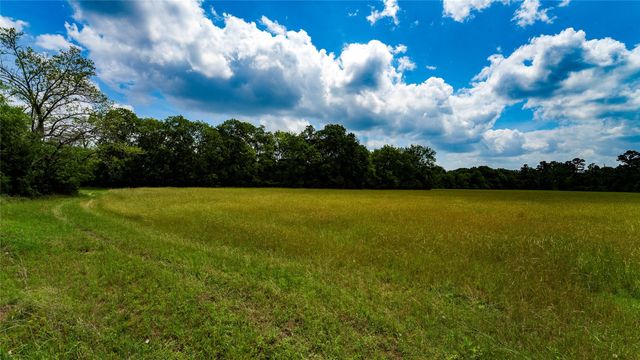 TBD FM 1488, Magnolia, TX 77355